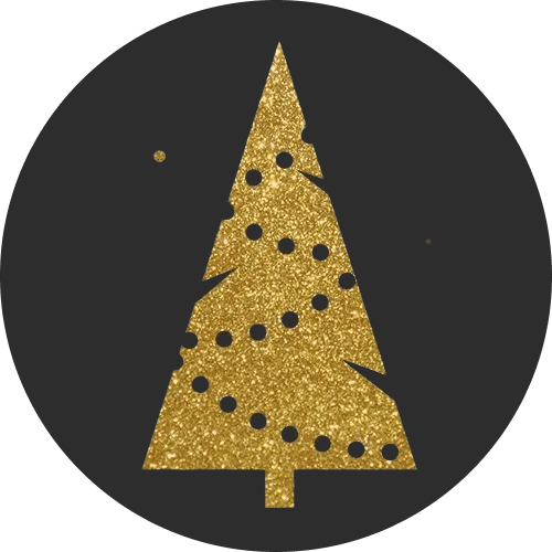 Merry Christmas and Happy New Year 2025 from SoftGrad team!